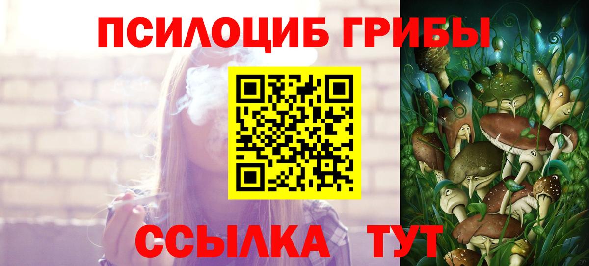 Нефтеюганск  Псилоцибиновые грибы Psilocybine cubensis  Вход с VPN 